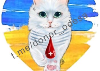 Одеситів просять здати кров для захисників України | Одеський Монітор