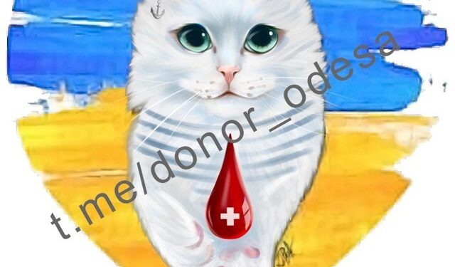 Одеситів просять здати кров для захисників України | Одеський Монітор