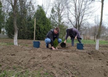 У Арцизькій громаді стартував конкурс «Green еко-простір» з озеленення територій