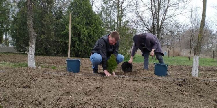 У Арцизькій громаді стартував конкурс «Green еко-простір» з озеленення територій
