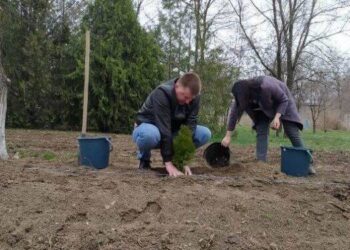 У Арцизькій громаді стартував конкурс «Green еко-простір» з озеленення територій