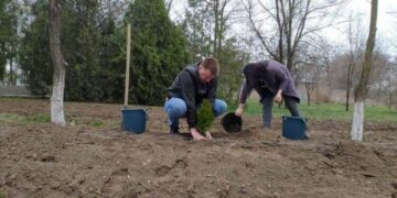 У Арцизькій громаді стартував конкурс «Green еко-простір» з озеленення територій