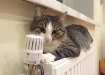 В центрі Одеси до вечора вимкнули опалення | Одеський Монітор