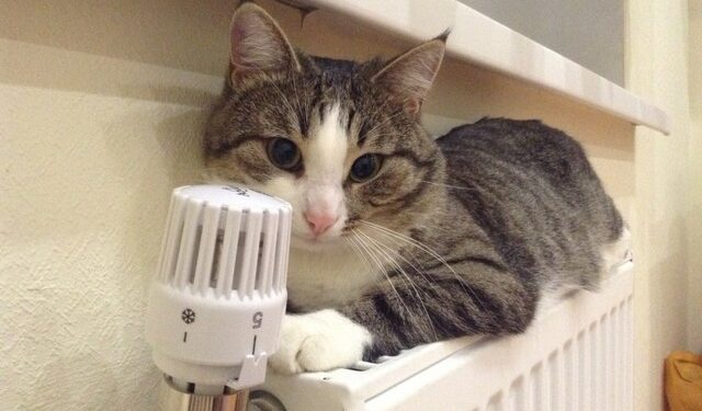 В центрі Одеси до вечора вимкнули опалення | Одеський Монітор