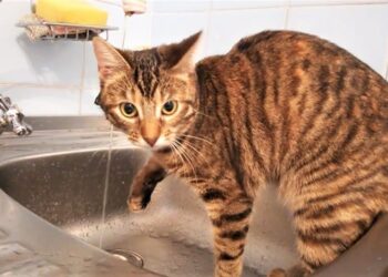 В Одесі будуть вимикати воду | Одеський Монітор