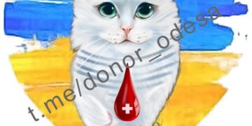В Одесі є потреба в донорській крові | Одеський Монітор