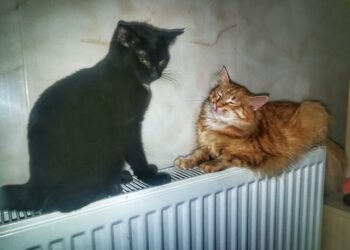 В Одесі завершують опалювальний сезон | Одеський Монітор