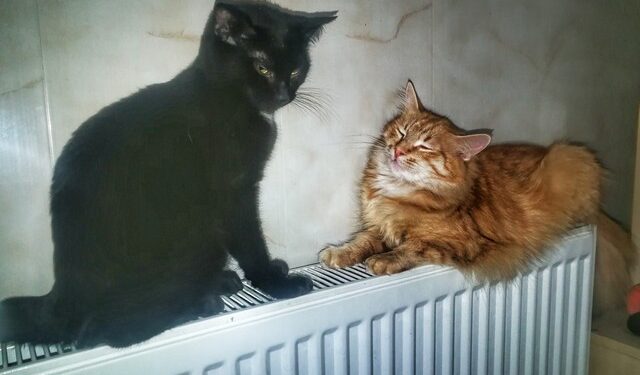 В Одесі завершують опалювальний сезон | Одеський Монітор