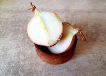 В Україні продовжує дорожчати цибуля: експерти назвали причини