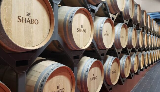 Вина з Одеської області здобули 10 медалей на престижному світовому конкурсі — Новини Одеської області