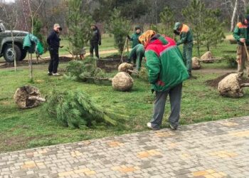 Жителі Одеси зробили місту цінний подарунок | Надзвичайні події Одесса та область