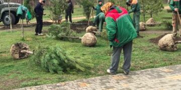 Жителі Одеси зробили місту цінний подарунок | Надзвичайні події Одесса та область