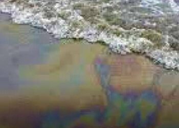 На українській ділянці Дунаю виявили велику нафтову пляму