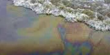 На українській ділянці Дунаю виявили велику нафтову пляму