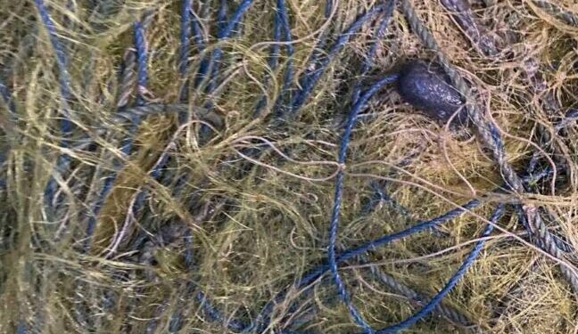 Одеські рибінспектори виявили невод з майже 100 кг креветки та атерини — Новини Одеської області