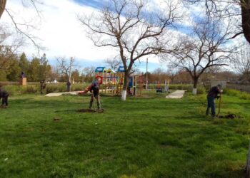 У Арцизькій громаді масово висаджують квіти та молоді садженці дерев