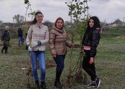 У місті на Одещині висадили сотні кленів | Надзвичайні події Одесса та область