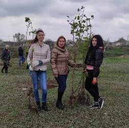 У місті на Одещині висадили сотні кленів | Надзвичайні події Одесса та область