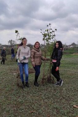 У місті на Одещині висадили сотні кленів | Надзвичайні події Одесса та область