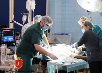 В Одесі вперше провели трансплантацію серця