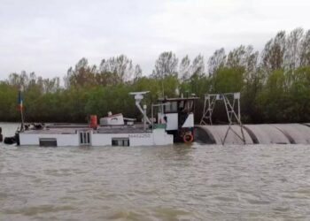 В Одеській області зіткнулися два іноземні судна: одне перевозило тварин, друге — добрива