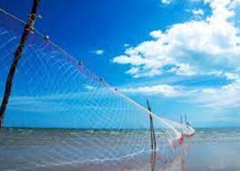 В Одессе придумали как ловить дроны-камикадзе сетями