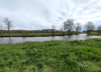 Безжально вбив односельця біля ставка — на Полтавщині зловмисник потрапив у кайданки  | Кримінальні новини