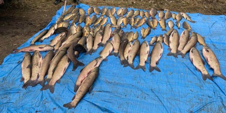 На Черкащині підуть під суд двоє затятих браконьєрів, — поліція  | Кримінальні новини