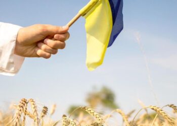 Кабмін затвердив Стратегію «Сильна мова — успішна держава»