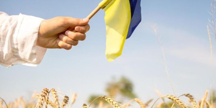 Кабмін затвердив Стратегію «Сильна мова — успішна держава»