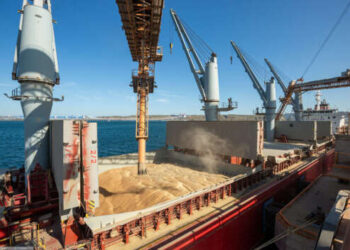 Зерновая сделка: Россия продолжает блокировать порт «Южный»