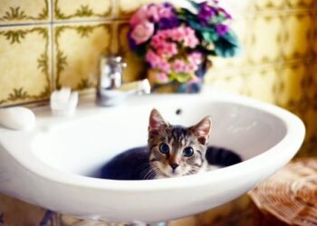 Частину Одеси залишають завтра без води | Одеський Монітор