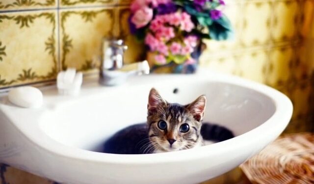 Частину Одеси залишають завтра без води | Одеський Монітор