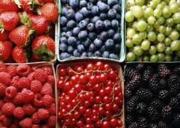 Дешеві кавуни з Одещини та дорога імпортна ягода: якою буде ситуація на ринку 2023 року — Новини Одеської області