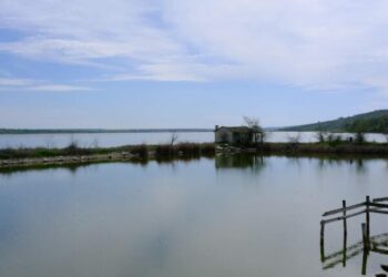 Фонд держмайна продав рибгосп на Одещині: ціна зросла вдвічі — Новини Одеської області