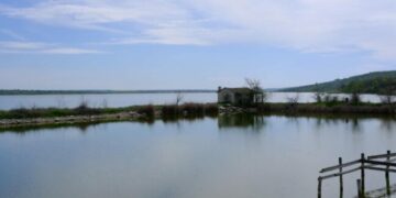 Фонд держмайна продав рибгосп на Одещині: ціна зросла вдвічі — Новини Одеської області