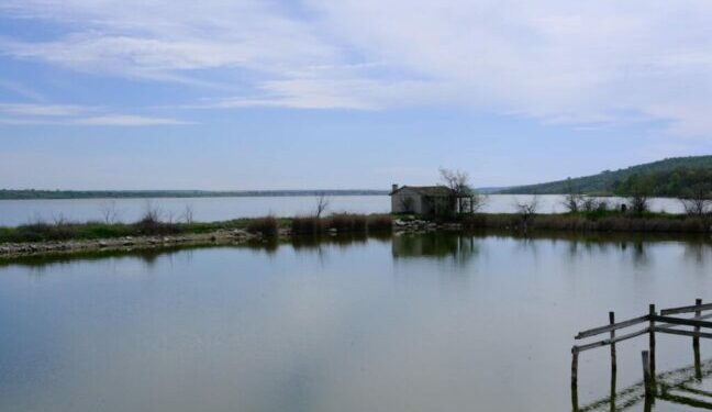 Фонд держмайна продав рибгосп на Одещині: ціна зросла вдвічі — Новини Одеської області
