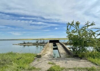 Хоч для бізнесу, хоч для дачі: під Одесою виставлять на продаж діюче підприємство на березі лиману — Новини Одеської області