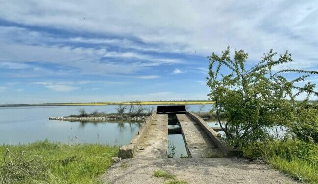 Хоч для бізнесу, хоч для дачі: під Одесою виставлять на продаж діюче підприємство на березі лиману — Новини Одеської області