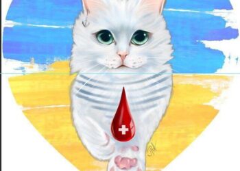 Канал «Донор. Одеса» став кращим міським проектом України | Одеський Монітор