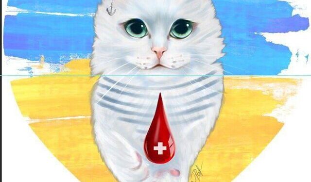 Канал «Донор. Одеса» став кращим міським проектом України | Одеський Монітор