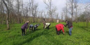 На Одещині відновлюють ліс, що вигорів | Надзвичайні події Одесса та область