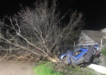 Під Одесою Honda Legend влетіла в дерево: водій загинув, дівчина в лікарні — Новини Одеської області