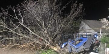 Під Одесою Honda Legend влетіла в дерево: водій загинув, дівчина в лікарні — Новини Одеської області