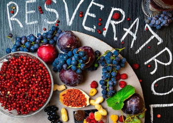 Ресвератрол: мощный антиоксидант для защиты нашего здоровья | Одеський Монітор