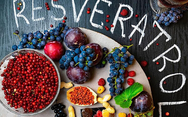 Ресвератрол: мощный антиоксидант для защиты нашего здоровья | Одеський Монітор