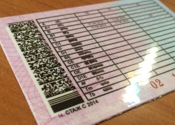 В РФ хотят избавиться от штрафа за забытые водительские права и ОСАГО — АВТО НОВОСТИ