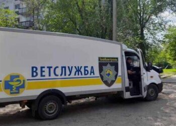 Зооконтроль знов у Арцизі: в місті стерилізуватимуть безпритульних собак