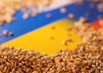 100 млн евро ЕС выплатит фермерам пяти стран из-за украинского зерна