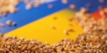 100 млн евро ЕС выплатит фермерам пяти стран из-за украинского зерна